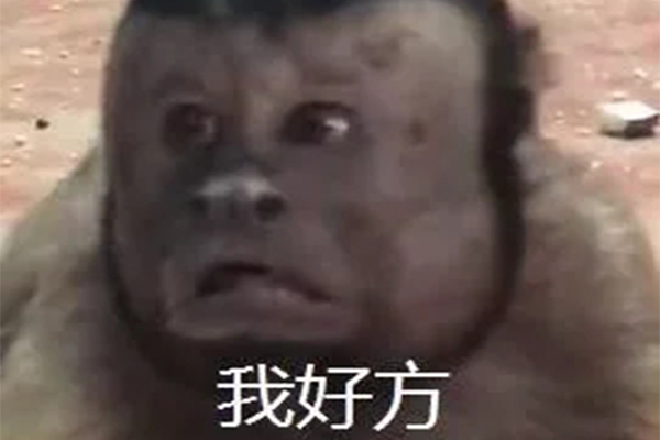 猴子藏人类灵魂,猴子表情包