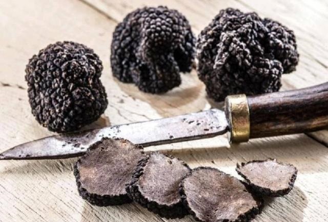 ����ĳ�31��