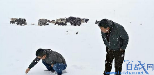 三江源头迎来降雪