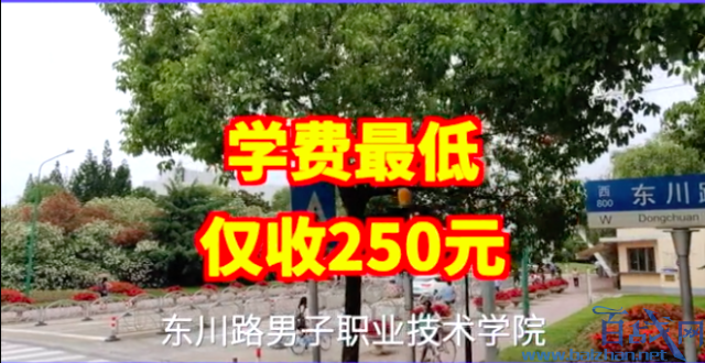 上海交大土味招生,上海交大招生视频,上海交大招生广告,上海交大