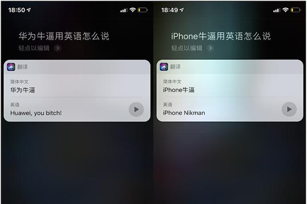 siri骂人口令_骂人图片带字