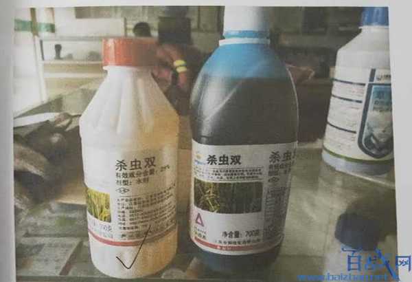妻子遭夫肢解案开庭,妻子遭夫肢解案
