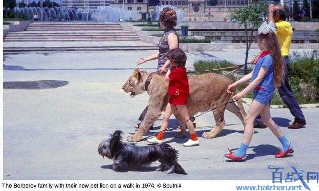 ����˹��ֹ�ڼ�����,����˹�˺���,����˹��ֹ������ʳ�⶯��,ս���������˹