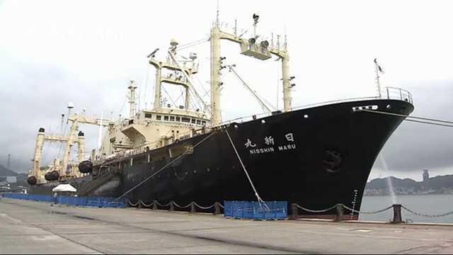 日本捕鲸船日新丸号图片