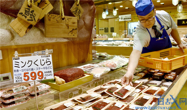 日本开始卖鲸鱼肉