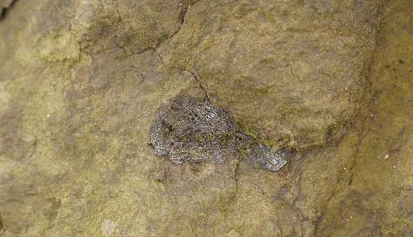 ������ʯ,�Ĵ��㰲,����������ʯ