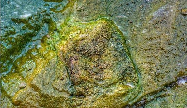 ������ʯ,�Ĵ��㰲,����������ʯ