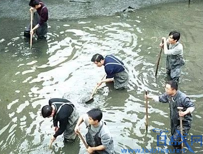 “杭州纵火保姆“毫无悔意，百名死囚最后留下这些话