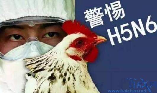 北京确诊H5N6病例