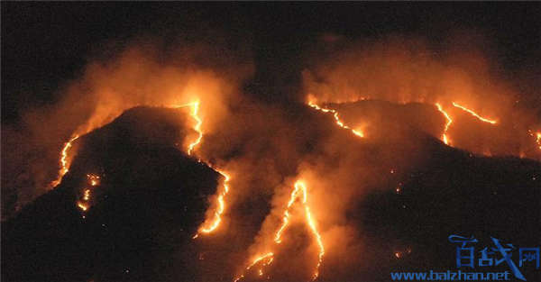 巴西森林火灾激增