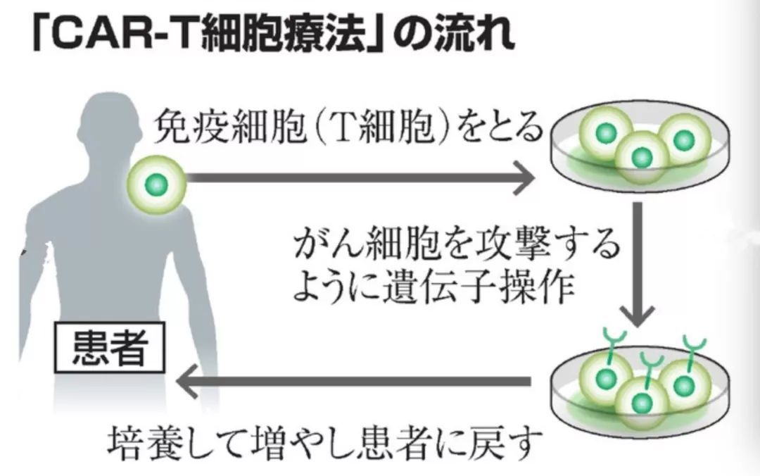 白血病特效药?日本研制出白血病新药治愈只需一次点滴!