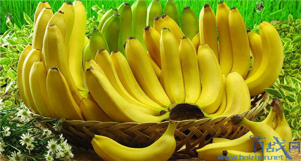 2050年香蕉或完全消失