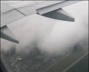 加拿大波音737客机遭鸟击引擎冒火 吓坏乘客绝望留遗言