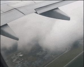 加拿大波音737客机遭鸟击引擎冒火 吓坏乘客绝望留遗言