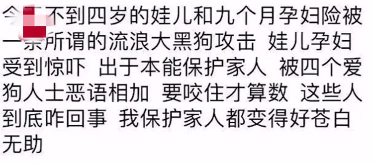 大型犬冲向怀孕妻子，丈夫用脚驱赶却遭四只“爱狗人士”指责