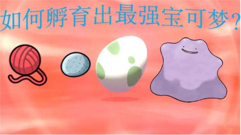 宝可梦剑盾怎么孵蛋_宝可梦剑盾孵蛋技巧攻略