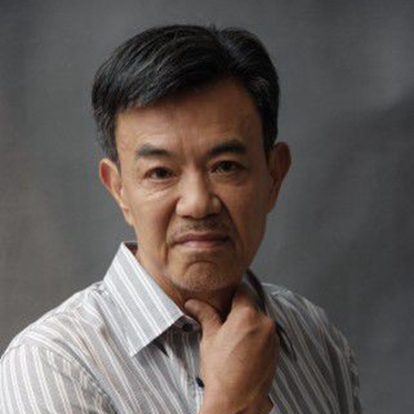 王道，1950年出生于辽宁丹东 ，中国台湾男演员，毕业于美国德州农工大学。1974年王道主演其首部电影《黄面老虎》而出道。