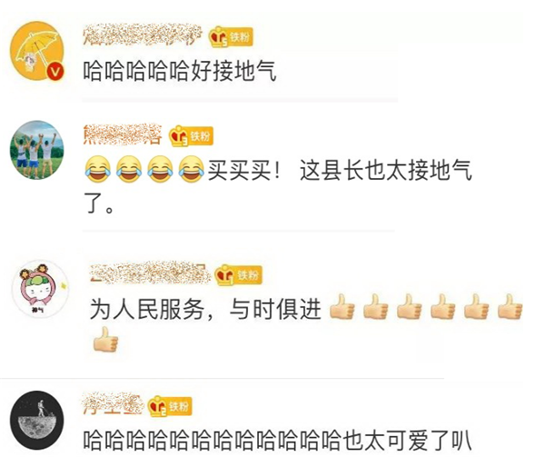 80后副县长卖扒鸡