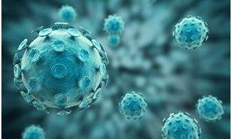 新型冠状病毒传染来源是什么?科学家解释新型肺炎病毒进化来源