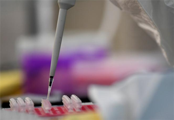 韩国发现病毒抗体,新病毒抗体,新病毒抗体研发