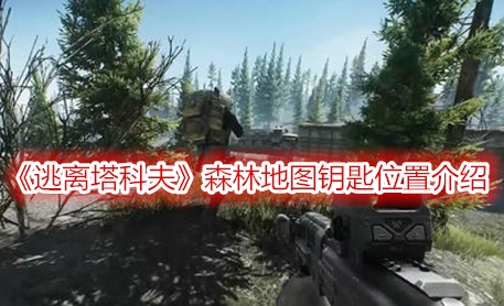 逃离塔科夫森林钥匙有哪些