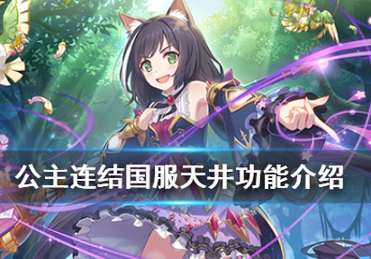 公主连接天井是什么意思