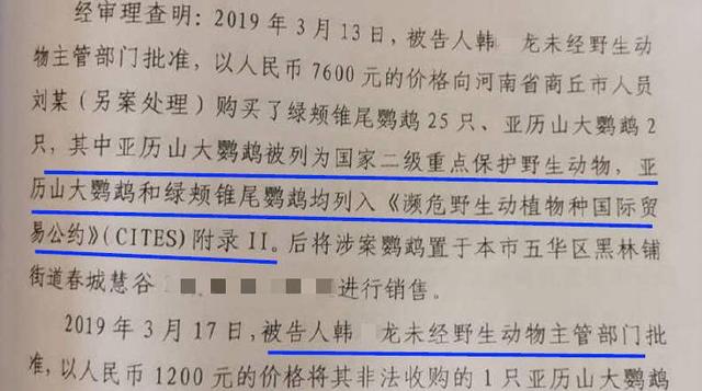 大学生卖2只鹦鹉获刑6年 这个判决合理吗?