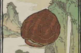 江南百景图龟壳怎么获得