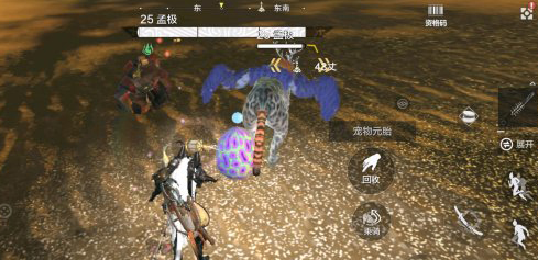 妄想山海蛋在哪捡