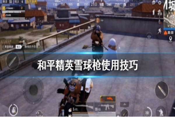 4.jpg