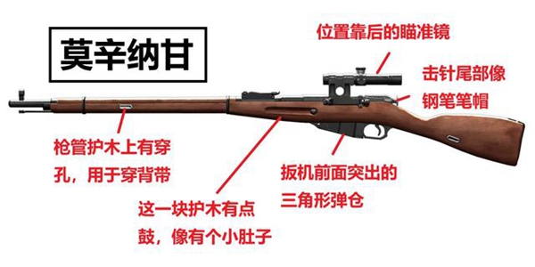 66.jpg