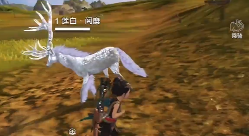 妄想山海莲白闾糜哪里抓
