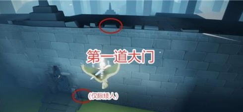 光遇雨林隐藏山洞在哪里