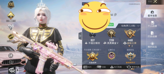 和平精英粉色回忆套装多少钱