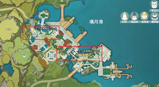 原神小动物在哪里