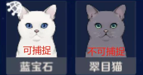 原神四方八方之网抓不了动物
