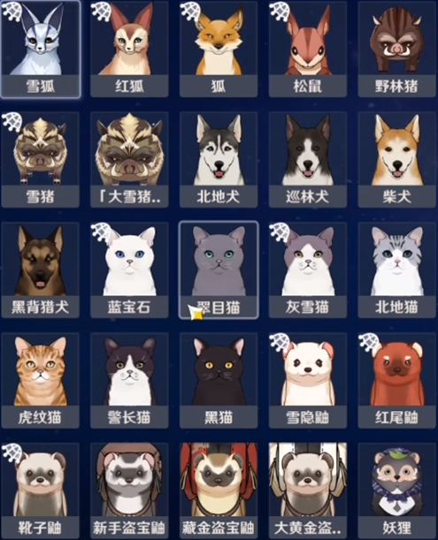 原神四方八方之网抓不了动物