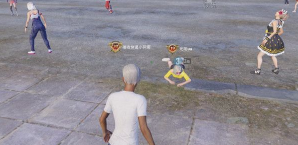和平精英30个王牌印记怎么回事