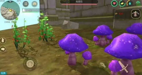 创造与魔法蘑菇有什么用