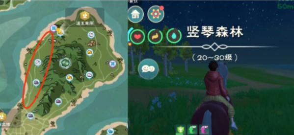 创造与魔法竖琴森林在哪个地方