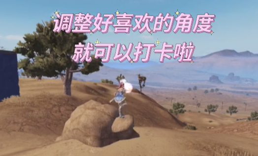 和平精英小乌龟在哪里