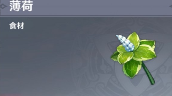 原神薄荷哪里多
