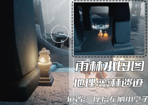 光遇雨林冥想在哪