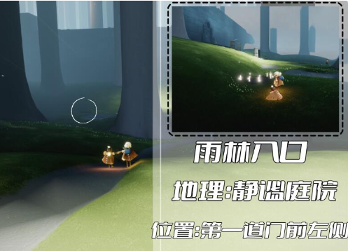 光遇雨林冥想在哪