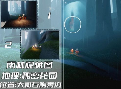 光遇雨林冥想在哪