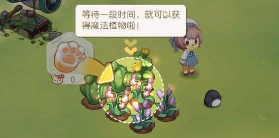 奥比岛手游魔法植物怎么获得
