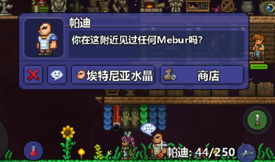 泰拉瑞亚酒馆老板入住条件