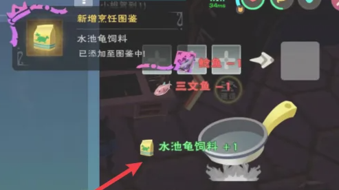创造与魔法水池龟饲料怎么做