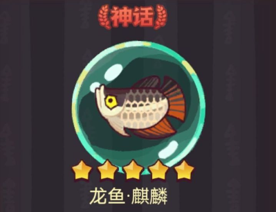 咸鱼之王龙鱼麒麟适合谁