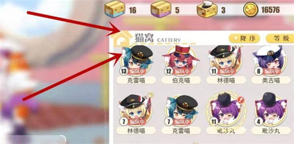 碧蓝航线猫窝满了怎么办